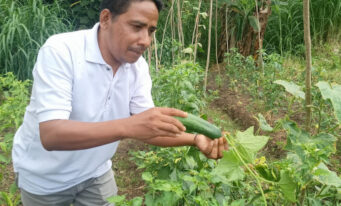 Sang Pemenang adalah Mereka Yang Pernah Gagal Tapi Bangkit Kembali