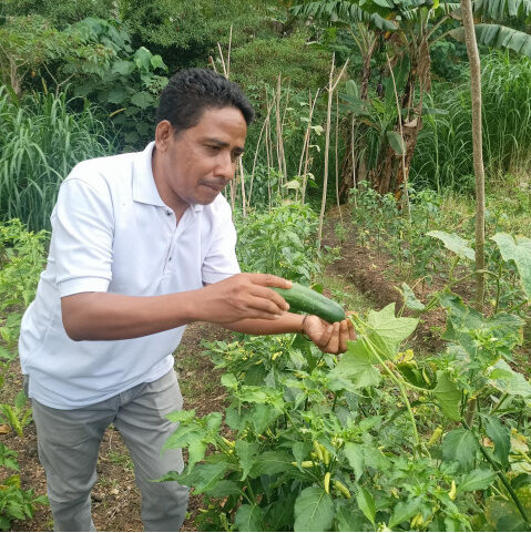 Sang Pemenang adalah Mereka Yang Pernah Gagal Tapi Bangkit Kembali