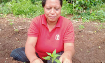 Cultivating the Land, Nurturing Love at Home