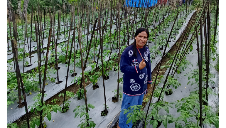 Farming for Family Economy