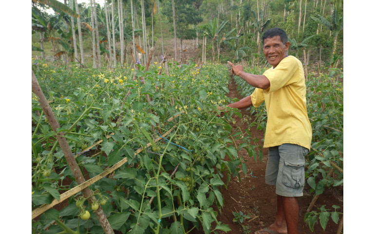 Success is the Result of Diligence in Farming