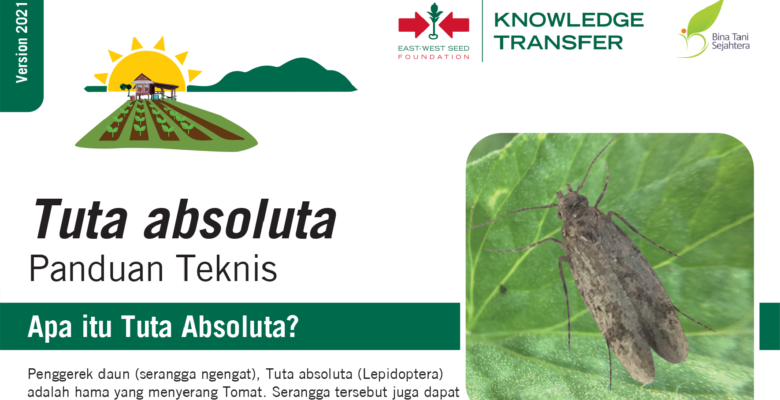 Tuta Absoluta