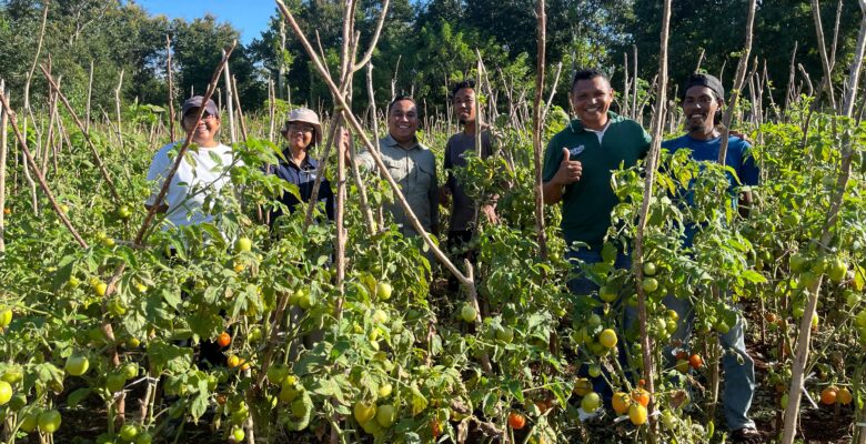 Crop Rotation