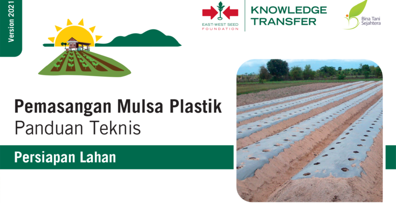 Pemasangan Mulsa Plastik