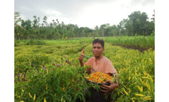 Farming Towards Improved Livelihoods