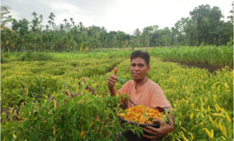 Bernaung Menuju Mandiri