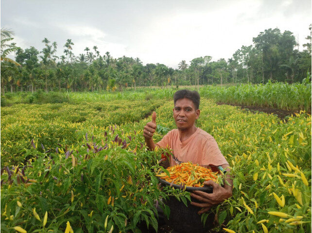 Farming Towards Improved Livelihoods