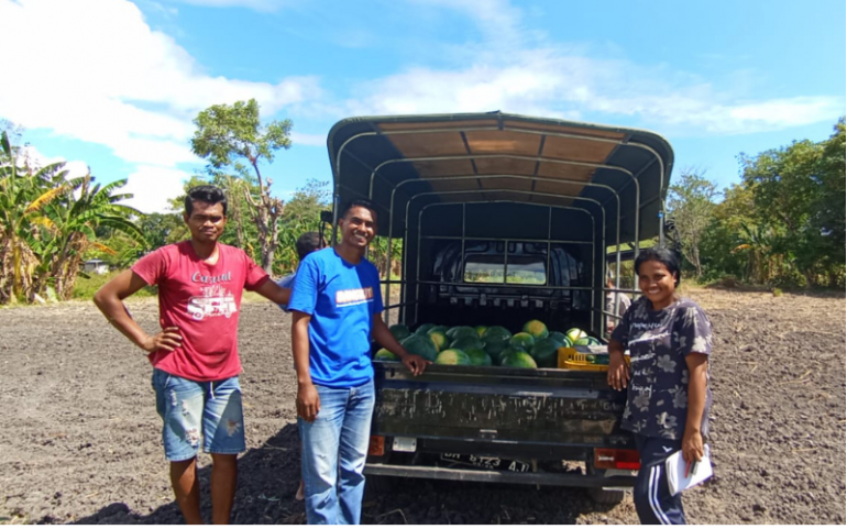 MACO, Its Role in Optinizing Farmers’ Harvest Distribution