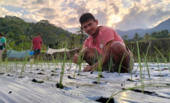 Sebuah Perubahan, Dari Buruh Menjadi Petani Muda