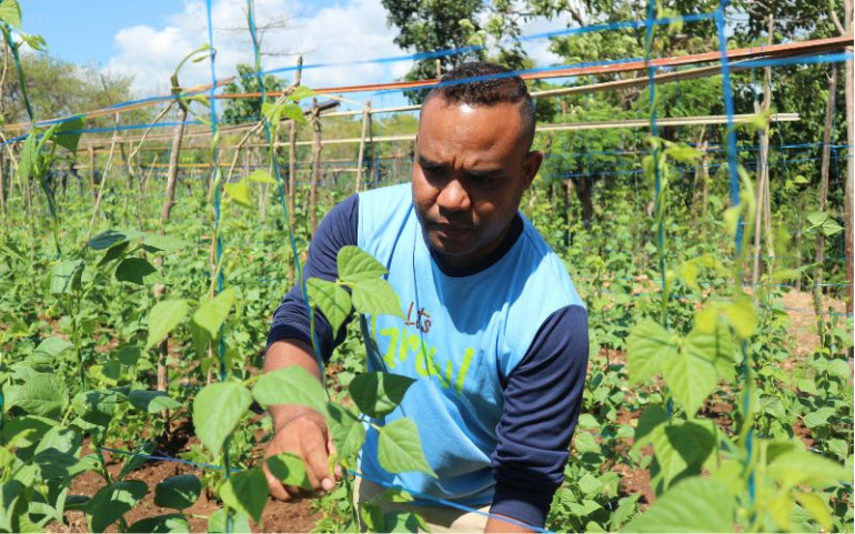 Farm Business Planning Transforms the Future of Young Farmers